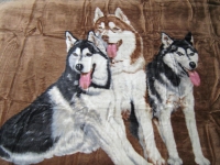 husky-sfora-brazowy-calosc-1-img_3793