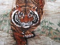 tygrys-safari-pokaz-2-img_3712