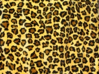 wzor-79-gepard-62