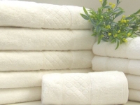 bambo-ecru-img_1383_0